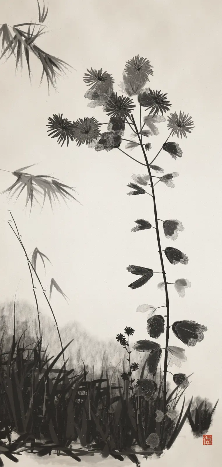 Chrysanthemum