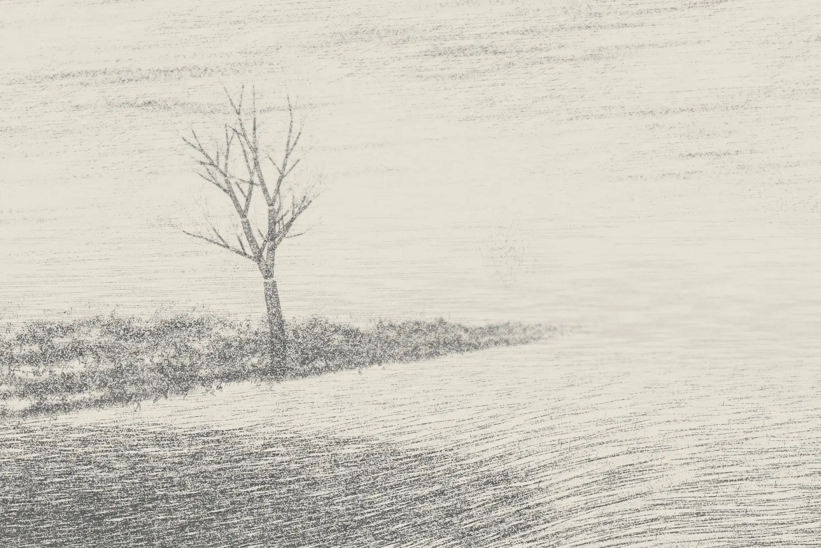 Field Edge in Low Cloud