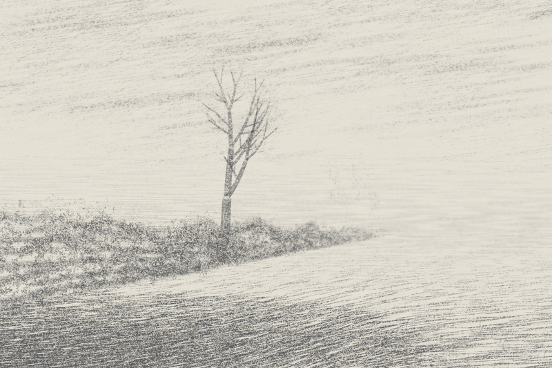 Field Edge in Low Cloud, seed 1817
