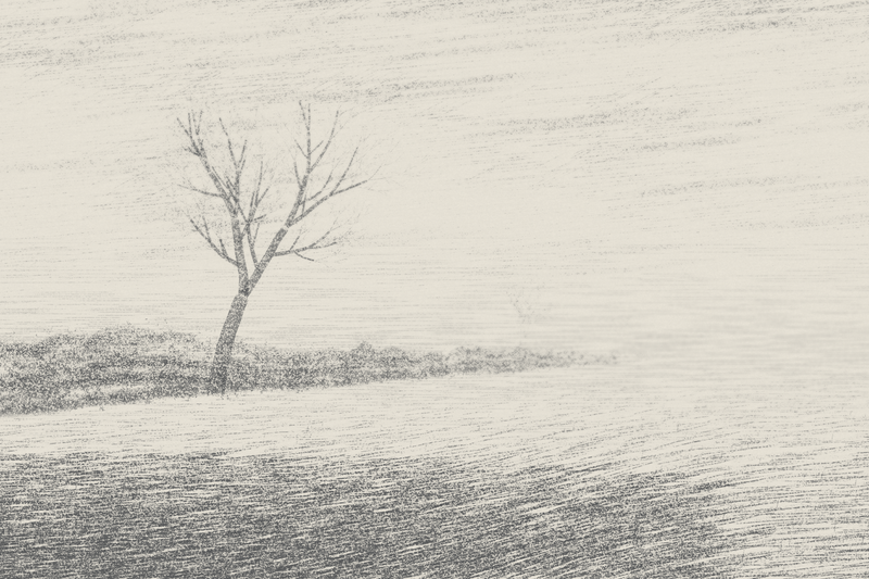 Field Edge in Low Cloud, seed 1823
