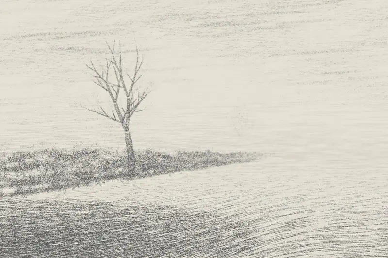 Field Edge in Low Cloud