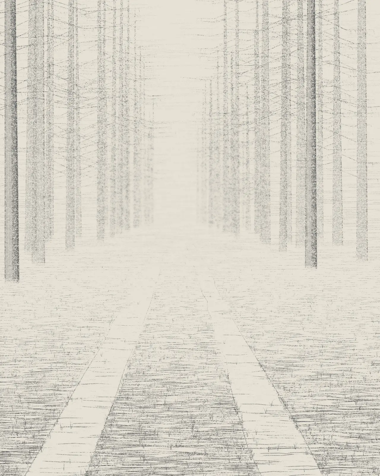 Forest Ride in Mist