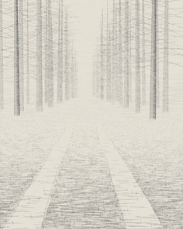 Forest Ride in Mist, seed 1810
