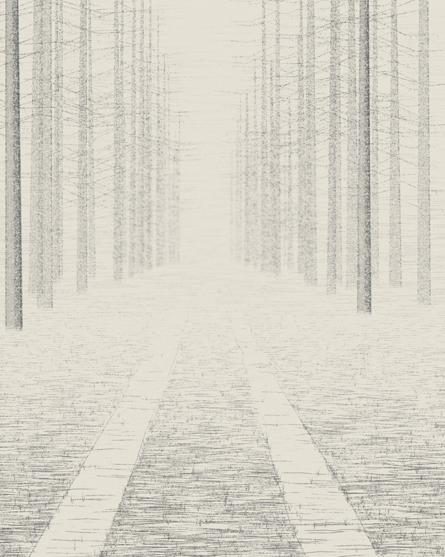 Forest Ride in Mist, seed 1823