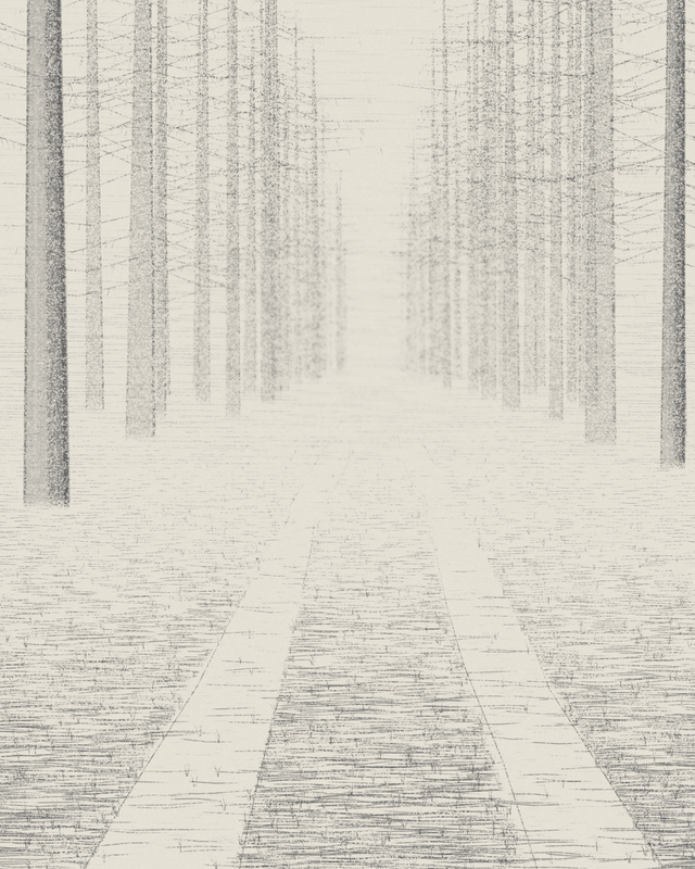 Forest Ride in Mist, seed 1884