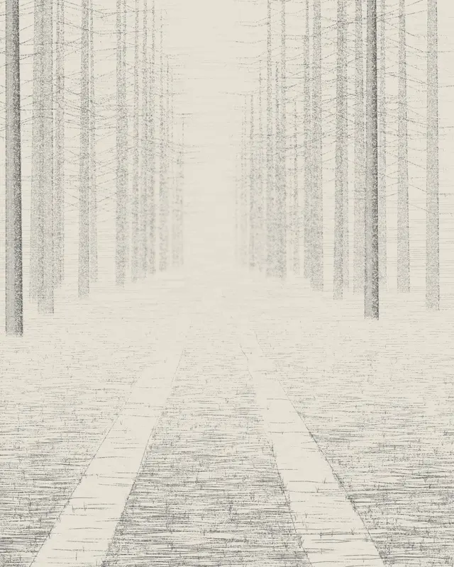 Forest Ride in Mist