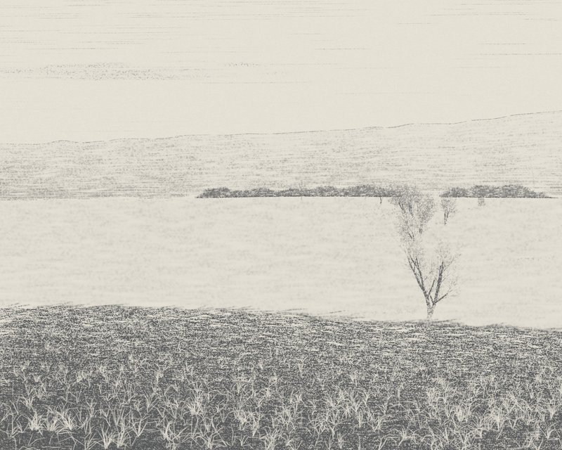 Frost Hollow at Dawn, seed 1872