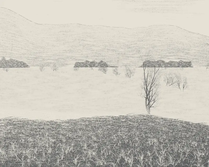 Frost Hollow at Dawn