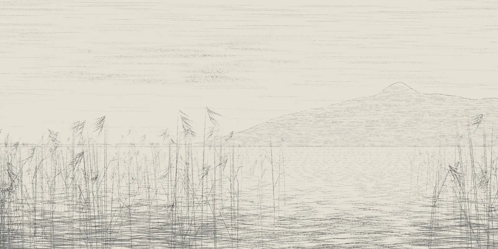 Reed Shore in Still Air