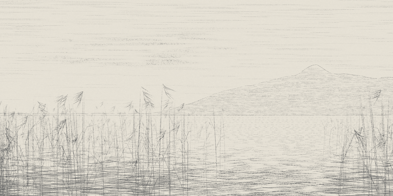 Reed Shore in Still Air, seed 1806