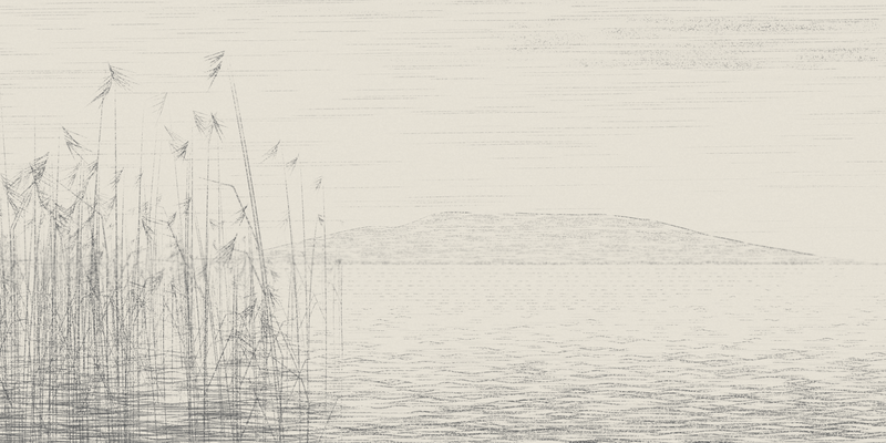 Reed Shore in Still Air, seed 1968