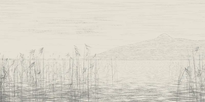 Reed Shore in Still Air
