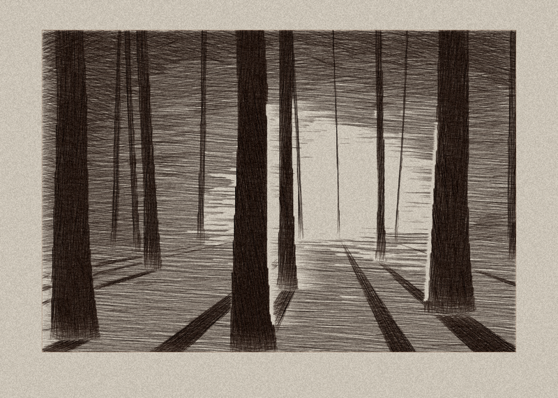 Standing Timber, seed 52