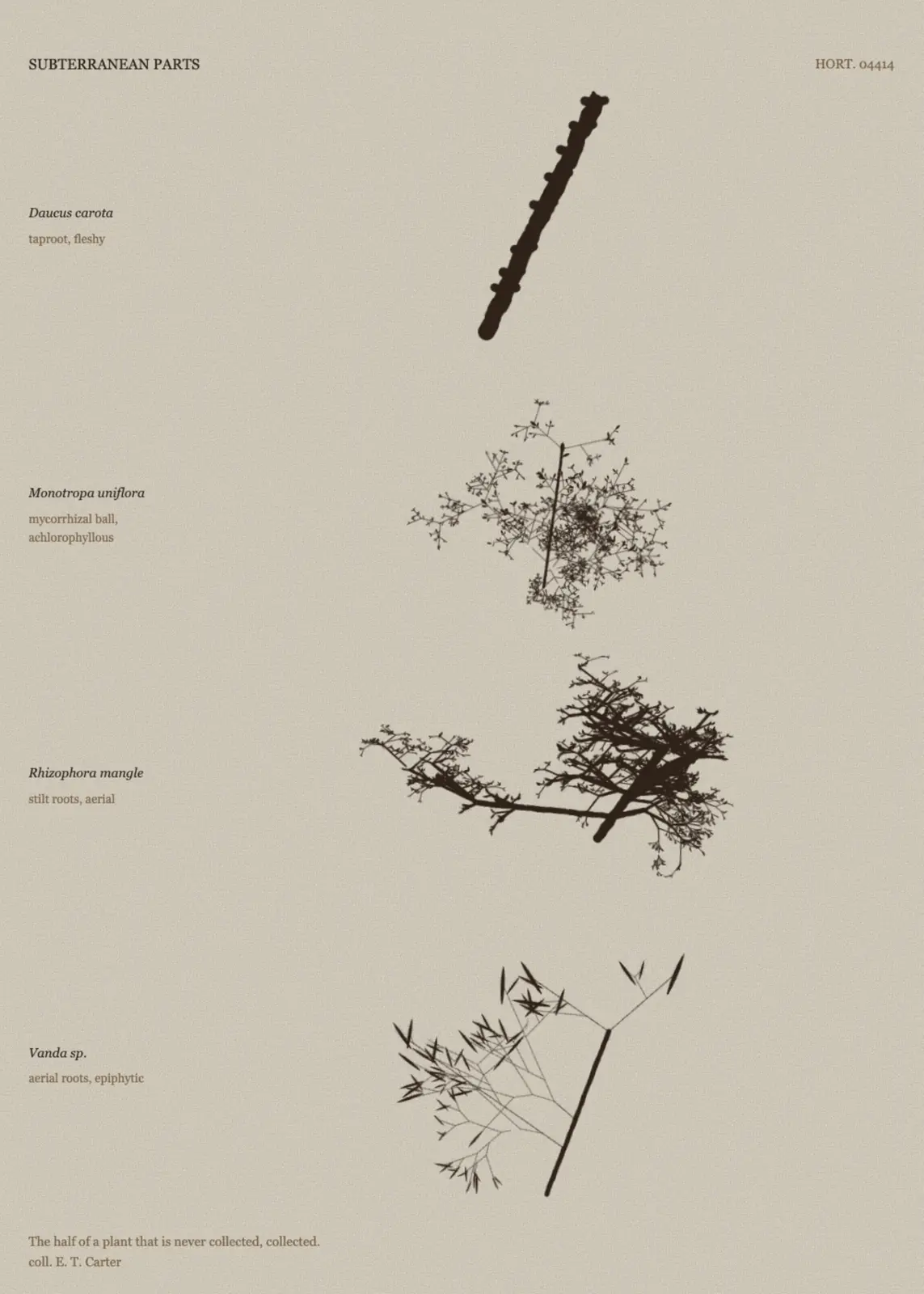 Subterranean Parts