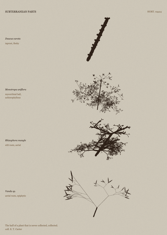 Subterranean Parts, seed 2208