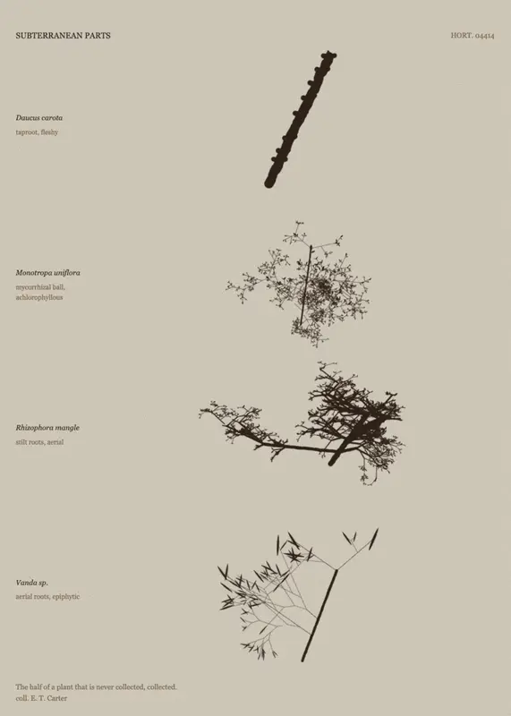 Subterranean Parts