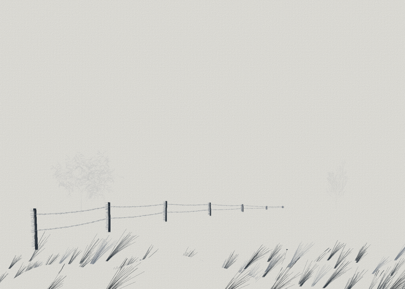 Whiteout, seed 7480