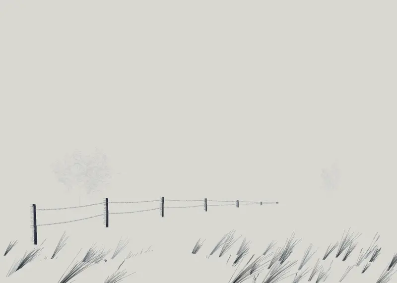 Whiteout