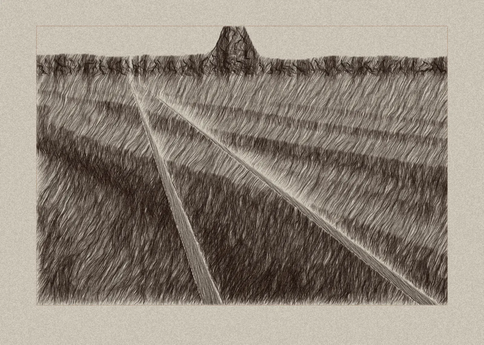 Wind in the Barley